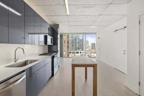 311 W Illinois St #1-1, Chicago, IL 60654
