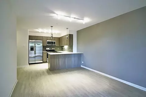 901 S Ashland Ave #JR1-1, Chicago, IL 60607