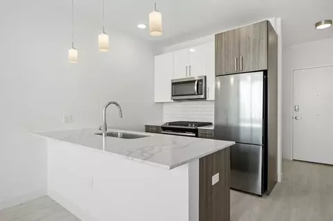 808 S Michigan Ave #1-1, Chicago, IL 60605