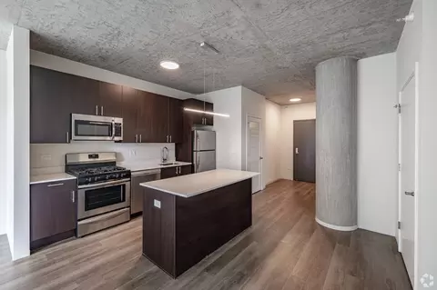 51 E 14th St #1-1, Chicago, IL 60605