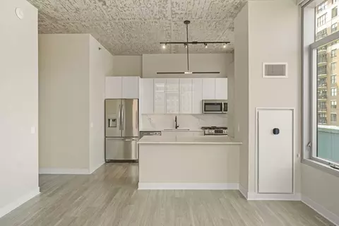 808 N Wells St #1-1, Chicago, IL 60610