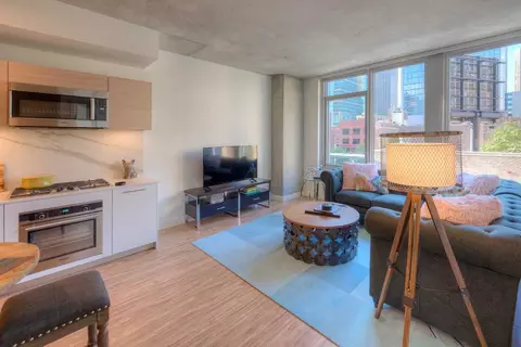 165 N Desplaines St #1-1DEN, Chicago, IL 60661