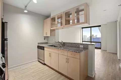 1255 S Michigan Ave #2-1, Chicago, IL 60605