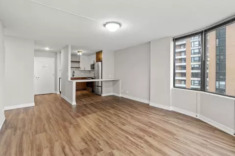 1212 S Michigan Ave #2-2, Chicago, IL 60605