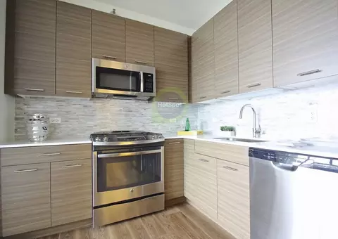 347 W Chestnut St #2-1, Chicago, IL 60610