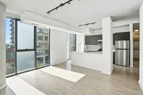 1333 S Wabash Ave #2-2, Chicago, IL 60605