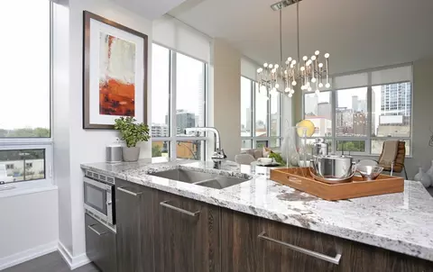 750 N Hudson Ave #2-2, Chicago, IL 60654