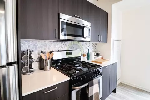 1333 S Wabash Ave #2-2-5, Chicago, IL 60605