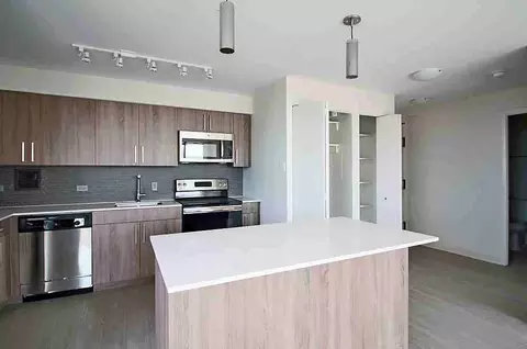 901 S Ashland Ave #2-2, Chicago, IL 60607