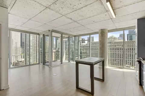 311 W Illinois St #2-2, Chicago, IL 60654
