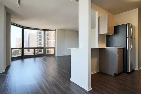 1130 N Dearborn St #2-2, Chicago, IL 60610
