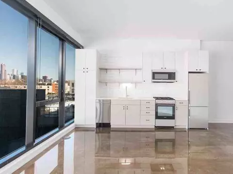 1461 S Blue Island Ave #2-2, Chicago, IL 60608