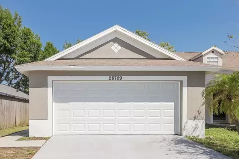 28709 Seashell Ct, Wesley Chapel, FL 33545
