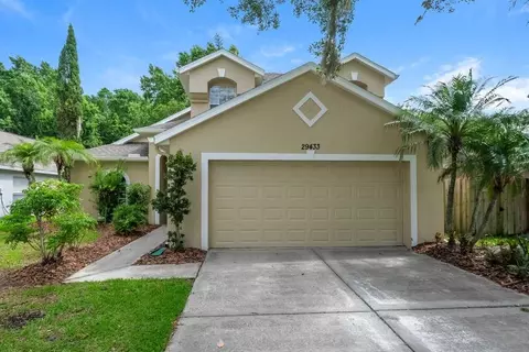 29433 Birds Eye Dr, Wesley Chapel, FL 33543