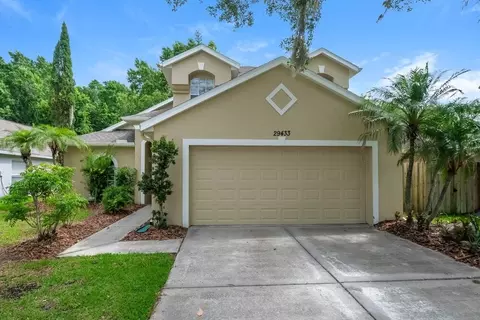 29433 Birds Eye Dr, Wesley Chapel, FL 33543
