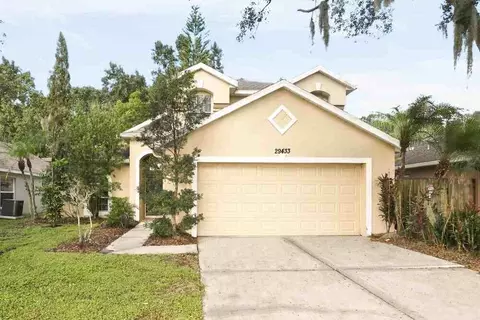 29433 Birds Eye Dr, Wesley Chapel, FL 33543