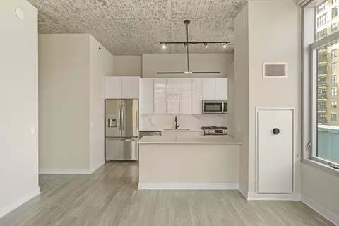 808 N Wells St #2-2, Chicago, IL 60610