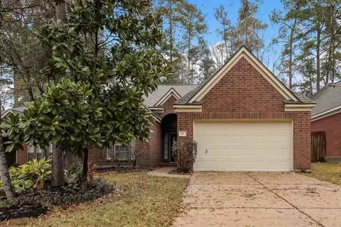 19 Rosewater Pl, The Woodlands, TX 77381