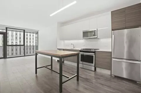 221 W Hubbard St #1-1, Chicago, IL 60654