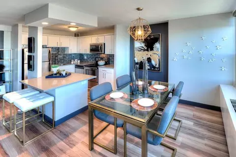 1130 S Michigan Ave #2-2, Chicago, IL 60605