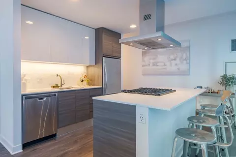 221 W Hubbard St #2-2, Chicago, IL 60654