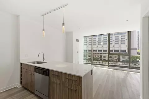 343 W Wolf Point Plz, Chicago, IL 60654