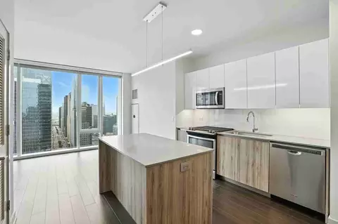 313 W Wolf Point Plz, Chicago, IL 60654