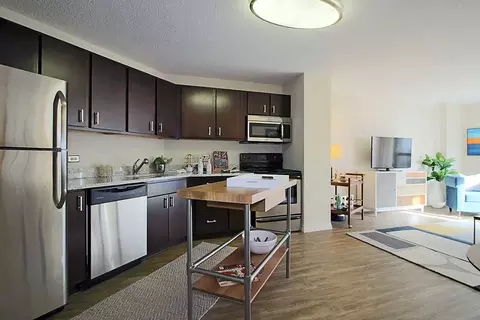 8 W Chestnut St #1-1, Chicago, IL 60610
