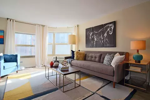 8 W Chestnut St #1-1, Chicago, IL 60610