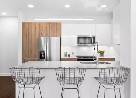 313 W Wolf Point Plz, Chicago, IL 60654