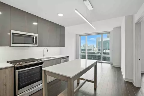 313 W Wolf Point Plz #1-1, Chicago, IL 60654