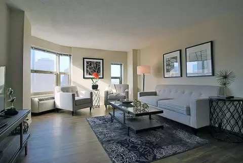 8 W Chestnut St #2-1-5, Chicago, IL 60610