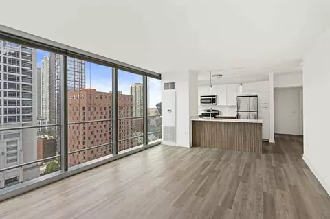 343 W Wolf Point Plz #2-2, Chicago, IL 60654