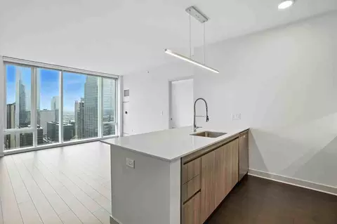 313 W Wolf Point Plz #2-2, Chicago, IL 60654