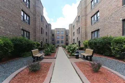 pine grove + grace, Chicago, IL 60613