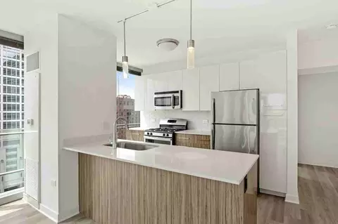 343 W Wolf Point Plz #3-2-5, Chicago, IL 60654