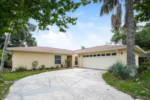 15709 Squirrel Tree Pl, Northdale, FL 33624