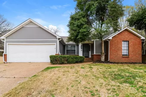 423 Cairn Cv, Cordova, TN 38018
