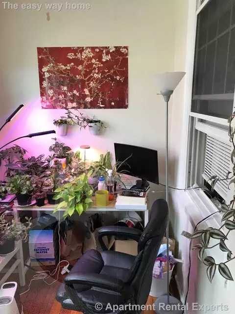 14 Centre St #7, Cambridge, MA 02139
