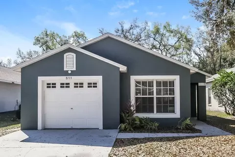 8733 Morrison Oaks Ct, Temple Terrace, FL 33637