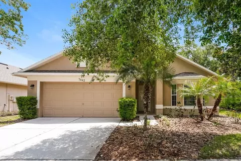 7442 Citrus Blossom Dr, Tampa-st. Petersburg, FL 34637