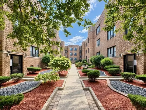 pine grove + grace, Chicago, IL 60613
