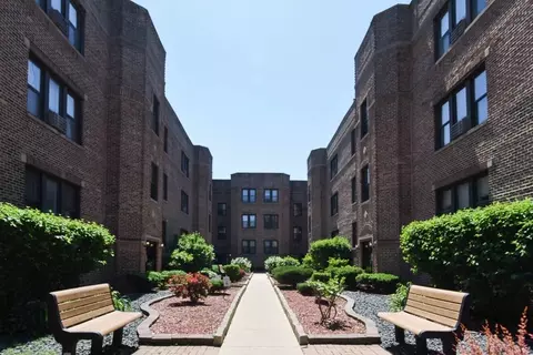 pine grove + grace, Chicago, IL 60613