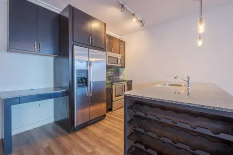 161 W Kinzie St #1-1DEN, Chicago, IL 60654