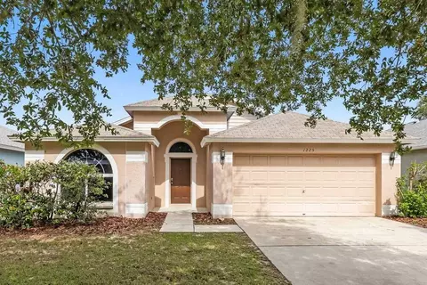 1225 Dragon Head Dr, Valrico, FL 33594