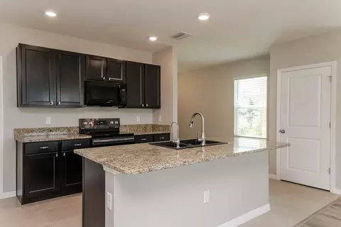 10988 Carlton Fields Dr, Riverview, FL 33579 photo 6