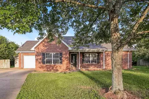 407 Cindi Ct, Smyrna, TN 37167