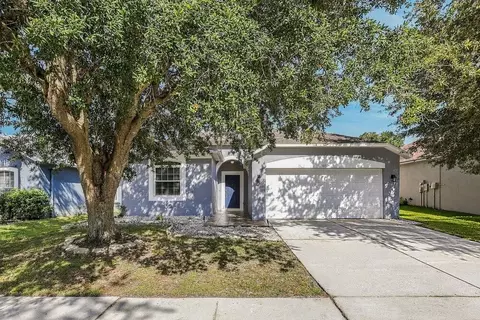 10324 Goldenbrook Way, Tampa, FL 33647