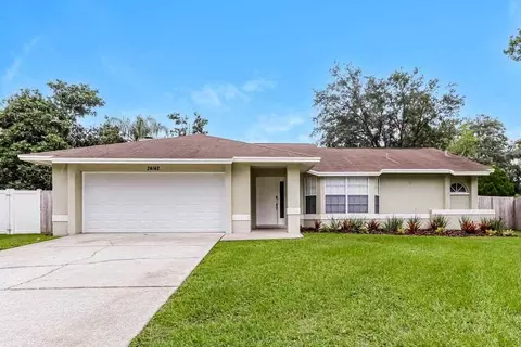 24142 Twin Ct, Land O' Lakes, FL 34639