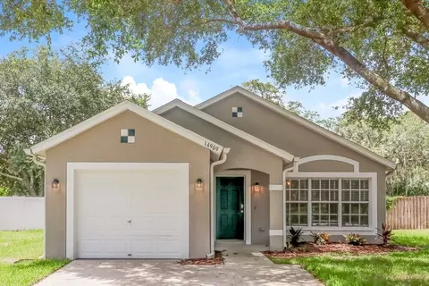 14909 Stag Creek Cir, University, FL 33559